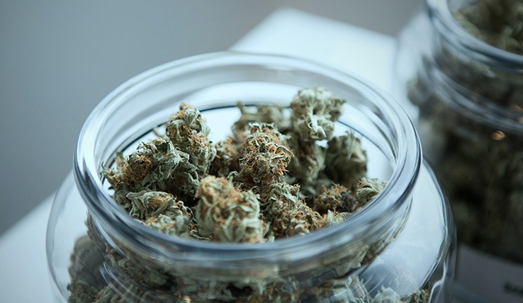 For Medical Marijuana, Denver Dispensaries Can Assist Patients
